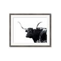 Picture of Spotted Bull  _GroupedProduct_Rectangle_Landscape_Photography _GroupedProduct_Rectangle_Landscape_Framed_Matted_