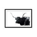 Picture of Spotted Bull  _GroupedProduct_Rectangle_Landscape_Photography _GroupedProduct_Rectangle_Landscape_Framed_Matted_