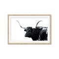 Picture of Spotted Bull  _GroupedProduct_Rectangle_Landscape_Photography _GroupedProduct_Rectangle_Landscape_Framed_Matted_
