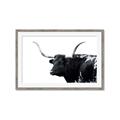 Picture of Spotted Bull  _GroupedProduct_Rectangle_Landscape_Photography _GroupedProduct_Rectangle_Landscape_Framed_Matted_