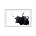 Picture of Spotted Bull  _GroupedProduct_Rectangle_Landscape_Photography _GroupedProduct_Rectangle_Landscape_Framed_Matted_