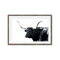 Picture of Spotted Bull  _GroupedProduct_Rectangle_Landscape_Photography _GroupedProduct_Rectangle_Landscape_Framed_Matted_