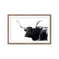 Picture of Spotted Bull  _GroupedProduct_Rectangle_Landscape_Photography _GroupedProduct_Rectangle_Landscape_Framed_Matted_
