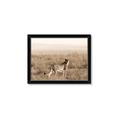 Picture of Spotted in the Savanna  _GroupedProduct_Rectangle_Landscape_Photography _GroupedProduct_Rectangle_Landscape_Framed_Matted_