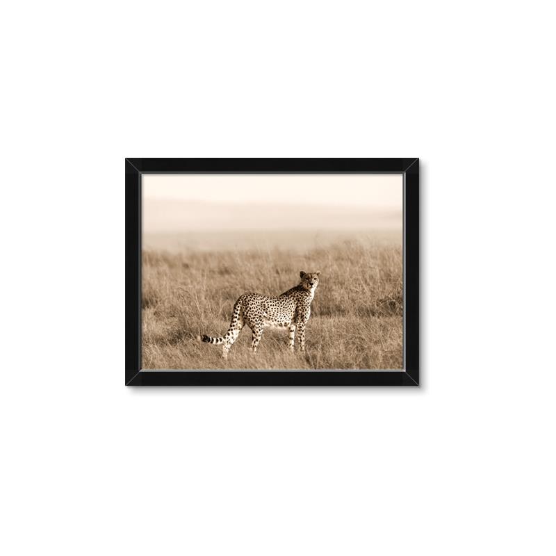 Picture of Spotted in the Savanna  _GroupedProduct_Rectangle_Landscape_Photography _GroupedProduct_Rectangle_Landscape_Framed_Matted_