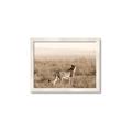 Picture of Spotted in the Savanna  _GroupedProduct_Rectangle_Landscape_Photography _GroupedProduct_Rectangle_Landscape_Framed_Matted_