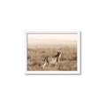 Picture of Spotted in the Savanna  _GroupedProduct_Rectangle_Landscape_Photography _GroupedProduct_Rectangle_Landscape_Framed_Matted_