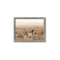 Picture of Spotted in the Savanna  _GroupedProduct_Rectangle_Landscape_Photography _GroupedProduct_Rectangle_Landscape_Framed_Matted_