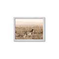 Picture of Spotted in the Savanna  _GroupedProduct_Rectangle_Landscape_Photography _GroupedProduct_Rectangle_Landscape_Framed_Matted_