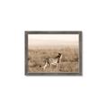 Picture of Spotted in the Savanna  _GroupedProduct_Rectangle_Landscape_Photography _GroupedProduct_Rectangle_Landscape_Framed_Matted_