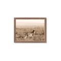 Picture of Spotted in the Savanna  _GroupedProduct_Rectangle_Landscape_Photography _GroupedProduct_Rectangle_Landscape_Framed_Matted_