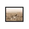 Picture of Spotted in the Savanna  _GroupedProduct_Rectangle_Landscape_Photography _GroupedProduct_Rectangle_Landscape_Framed_Matted_