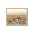 Picture of Spotted in the Savanna  _GroupedProduct_Rectangle_Landscape_Photography _GroupedProduct_Rectangle_Landscape_Framed_Matted_