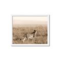 Picture of Spotted in the Savanna  _GroupedProduct_Rectangle_Landscape_Photography _GroupedProduct_Rectangle_Landscape_Framed_Matted_
