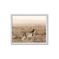 Picture of Spotted in the Savanna  _GroupedProduct_Rectangle_Landscape_Photography _GroupedProduct_Rectangle_Landscape_Framed_Matted_