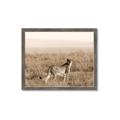 Picture of Spotted in the Savanna  _GroupedProduct_Rectangle_Landscape_Photography _GroupedProduct_Rectangle_Landscape_Framed_Matted_