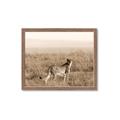 Picture of Spotted in the Savanna  _GroupedProduct_Rectangle_Landscape_Photography _GroupedProduct_Rectangle_Landscape_Framed_Matted_