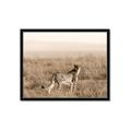 Picture of Spotted in the Savanna  _GroupedProduct_Rectangle_Landscape_Photography _GroupedProduct_Rectangle_Landscape_Framed_Matted_
