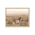 Picture of Spotted in the Savanna  _GroupedProduct_Rectangle_Landscape_Photography _GroupedProduct_Rectangle_Landscape_Framed_Matted_