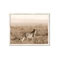Picture of Spotted in the Savanna  _GroupedProduct_Rectangle_Landscape_Photography _GroupedProduct_Rectangle_Landscape_Framed_Matted_