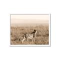 Picture of Spotted in the Savanna  _GroupedProduct_Rectangle_Landscape_Photography _GroupedProduct_Rectangle_Landscape_Framed_Matted_