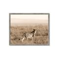 Picture of Spotted in the Savanna  _GroupedProduct_Rectangle_Landscape_Photography _GroupedProduct_Rectangle_Landscape_Framed_Matted_