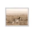 Picture of Spotted in the Savanna  _GroupedProduct_Rectangle_Landscape_Photography _GroupedProduct_Rectangle_Landscape_Framed_Matted_