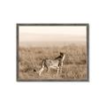 Picture of Spotted in the Savanna  _GroupedProduct_Rectangle_Landscape_Photography _GroupedProduct_Rectangle_Landscape_Framed_Matted_