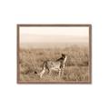 Picture of Spotted in the Savanna  _GroupedProduct_Rectangle_Landscape_Photography _GroupedProduct_Rectangle_Landscape_Framed_Matted_