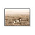 Picture of Spotted in the Savanna  _GroupedProduct_Rectangle_Landscape_Photography _GroupedProduct_Rectangle_Landscape_Framed_Matted_