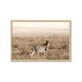 Picture of Spotted in the Savanna  _GroupedProduct_Rectangle_Landscape_Photography _GroupedProduct_Rectangle_Landscape_Framed_Matted_