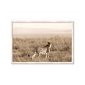 Picture of Spotted in the Savanna  _GroupedProduct_Rectangle_Landscape_Photography _GroupedProduct_Rectangle_Landscape_Framed_Matted_