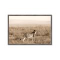 Picture of Spotted in the Savanna  _GroupedProduct_Rectangle_Landscape_Photography _GroupedProduct_Rectangle_Landscape_Framed_Matted_