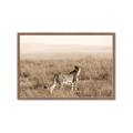 Picture of Spotted in the Savanna  _GroupedProduct_Rectangle_Landscape_Photography _GroupedProduct_Rectangle_Landscape_Framed_Matted_