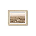 Picture of Spotted in the Savanna  _GroupedProduct_Rectangle_Landscape_Photography _GroupedProduct_Rectangle_Landscape_Framed_Matted_