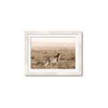 Picture of Spotted in the Savanna  _GroupedProduct_Rectangle_Landscape_Photography _GroupedProduct_Rectangle_Landscape_Framed_Matted_
