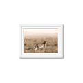 Picture of Spotted in the Savanna  _GroupedProduct_Rectangle_Landscape_Photography _GroupedProduct_Rectangle_Landscape_Framed_Matted_