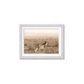 Picture of Spotted in the Savanna  _GroupedProduct_Rectangle_Landscape_Photography _GroupedProduct_Rectangle_Landscape_Framed_Matted_