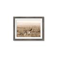 Picture of Spotted in the Savanna  _GroupedProduct_Rectangle_Landscape_Photography _GroupedProduct_Rectangle_Landscape_Framed_Matted_