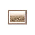 Picture of Spotted in the Savanna  _GroupedProduct_Rectangle_Landscape_Photography _GroupedProduct_Rectangle_Landscape_Framed_Matted_