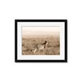 Picture of Spotted in the Savanna  _GroupedProduct_Rectangle_Landscape_Photography _GroupedProduct_Rectangle_Landscape_Framed_Matted_