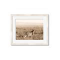 Picture of Spotted in the Savanna  _GroupedProduct_Rectangle_Landscape_Photography _GroupedProduct_Rectangle_Landscape_Framed_Matted_