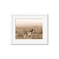 Picture of Spotted in the Savanna  _GroupedProduct_Rectangle_Landscape_Photography _GroupedProduct_Rectangle_Landscape_Framed_Matted_