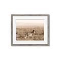 Picture of Spotted in the Savanna  _GroupedProduct_Rectangle_Landscape_Photography _GroupedProduct_Rectangle_Landscape_Framed_Matted_