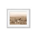 Picture of Spotted in the Savanna  _GroupedProduct_Rectangle_Landscape_Photography _GroupedProduct_Rectangle_Landscape_Framed_Matted_