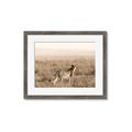 Picture of Spotted in the Savanna  _GroupedProduct_Rectangle_Landscape_Photography _GroupedProduct_Rectangle_Landscape_Framed_Matted_