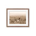 Picture of Spotted in the Savanna  _GroupedProduct_Rectangle_Landscape_Photography _GroupedProduct_Rectangle_Landscape_Framed_Matted_