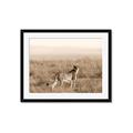 Picture of Spotted in the Savanna  _GroupedProduct_Rectangle_Landscape_Photography _GroupedProduct_Rectangle_Landscape_Framed_Matted_
