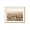 Picture of Spotted in the Savanna  _GroupedProduct_Rectangle_Landscape_Photography _GroupedProduct_Rectangle_Landscape_Framed_Matted_