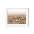 Picture of Spotted in the Savanna  _GroupedProduct_Rectangle_Landscape_Photography _GroupedProduct_Rectangle_Landscape_Framed_Matted_